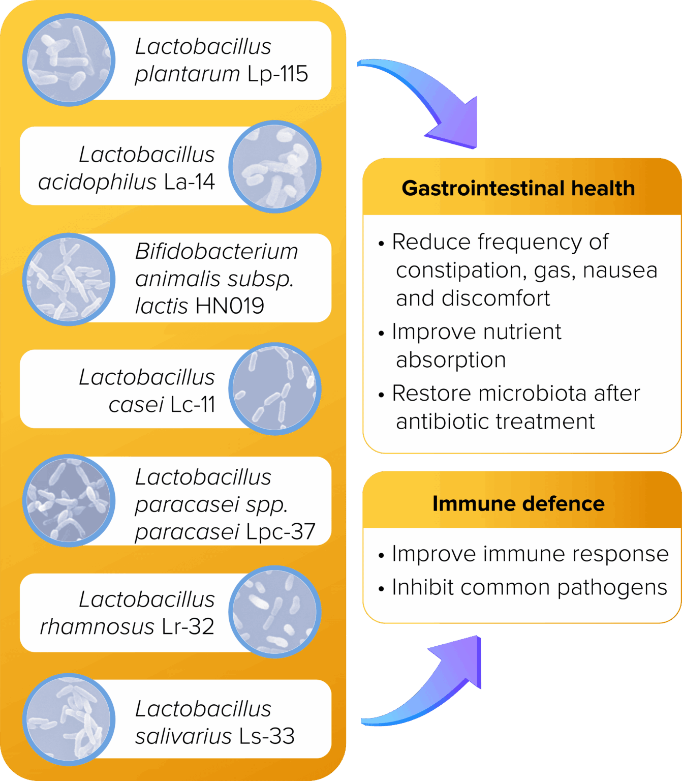 Pre+Pro Biotics - VitaHealth